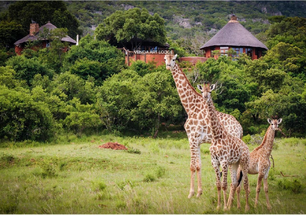 Leshiba Wilderness Villa Louis Trichardt Ngoại thất bức ảnh