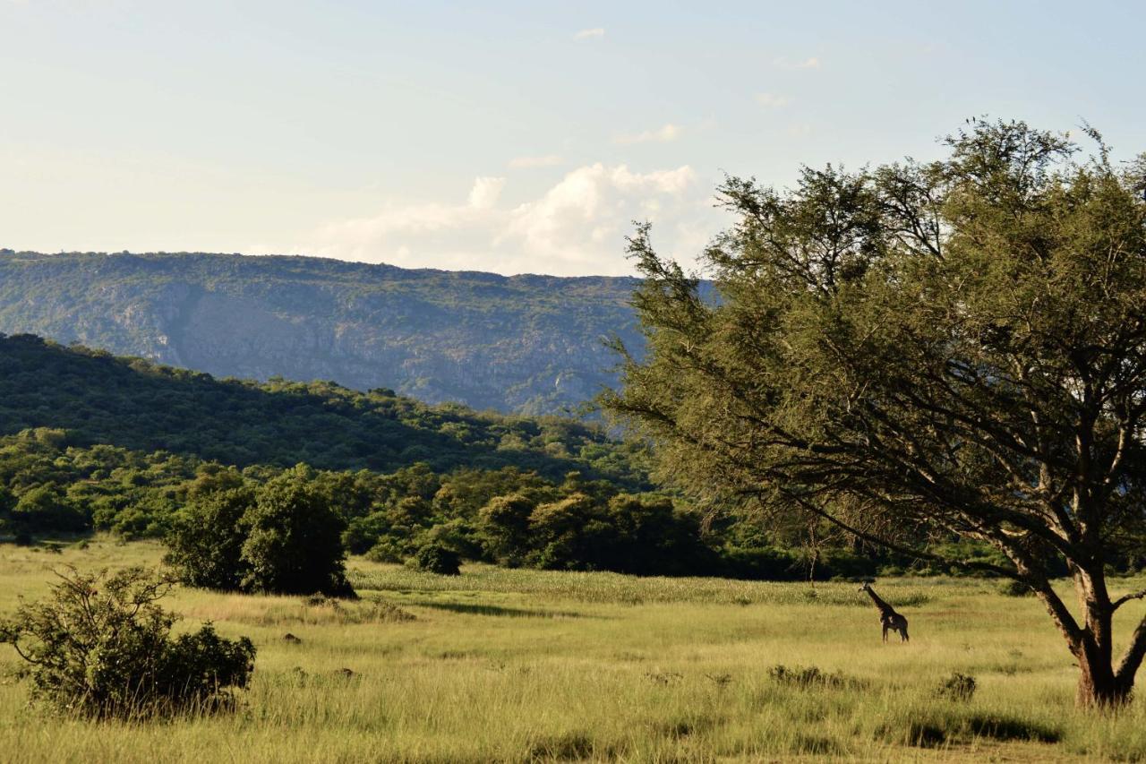 Leshiba Wilderness Villa Louis Trichardt Ngoại thất bức ảnh